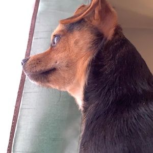 Meet your Posher, Elle